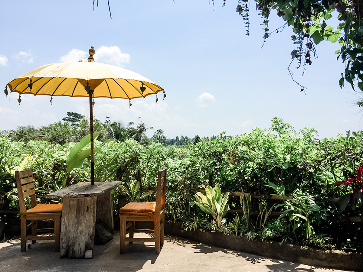 Photo Gallery: Ubud & Sanur, Bali