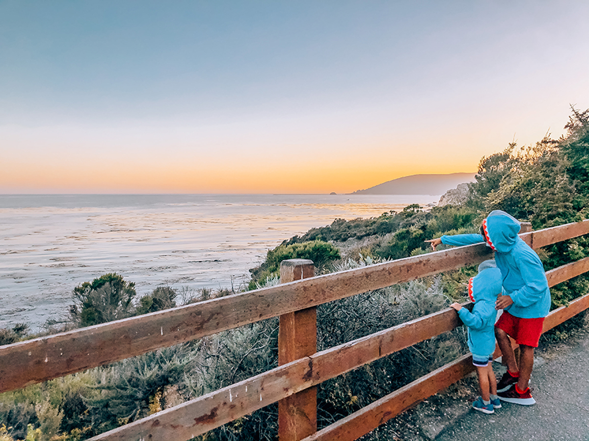 Photo Gallery: California to Oregon Road Trip